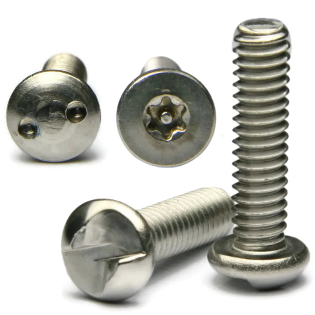 Tamper Proof Machine Screws